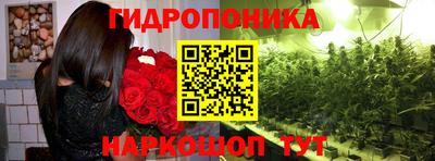 наркотики Гусиноозёрск